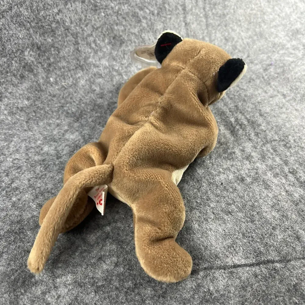 Ty Beanie Baby 1998‎ Canyon The Cougar 8